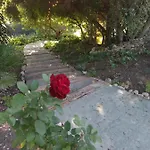 Giardino Di Circe *