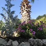 펜션 Giardino Di Circe *