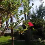 펜션 Giardino Di Circe 아그리젠토