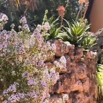Giardino Di Circe * 아그리젠토