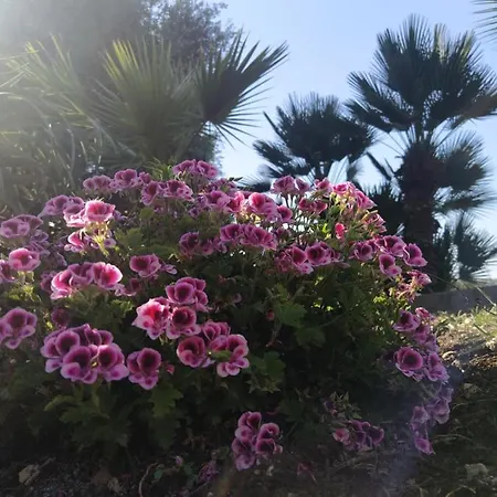 Giardino Di Circe Ferienhaus