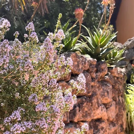 Giardino Di Circe * Agrigent